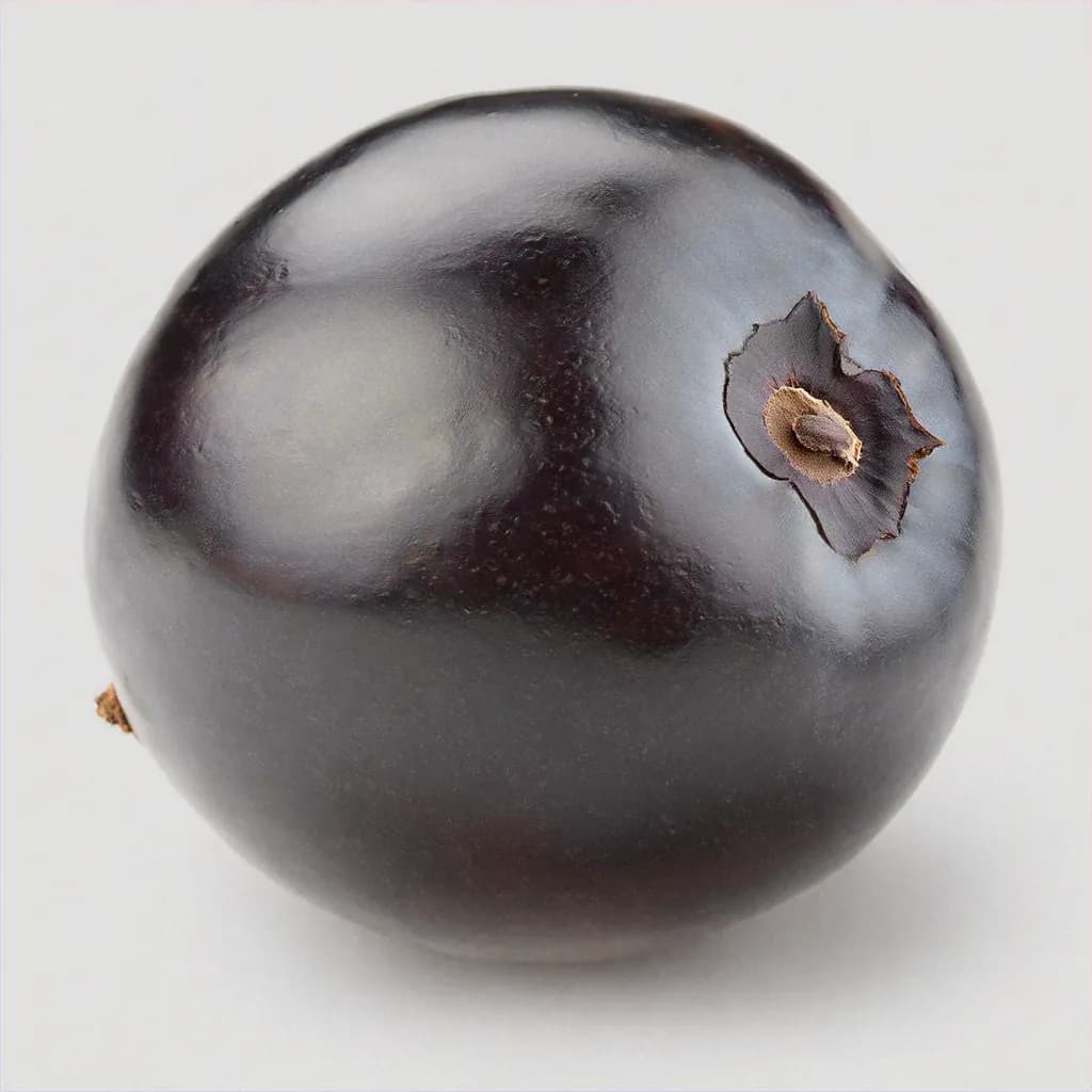 Acai Berry - fresh fruit image for easy identification