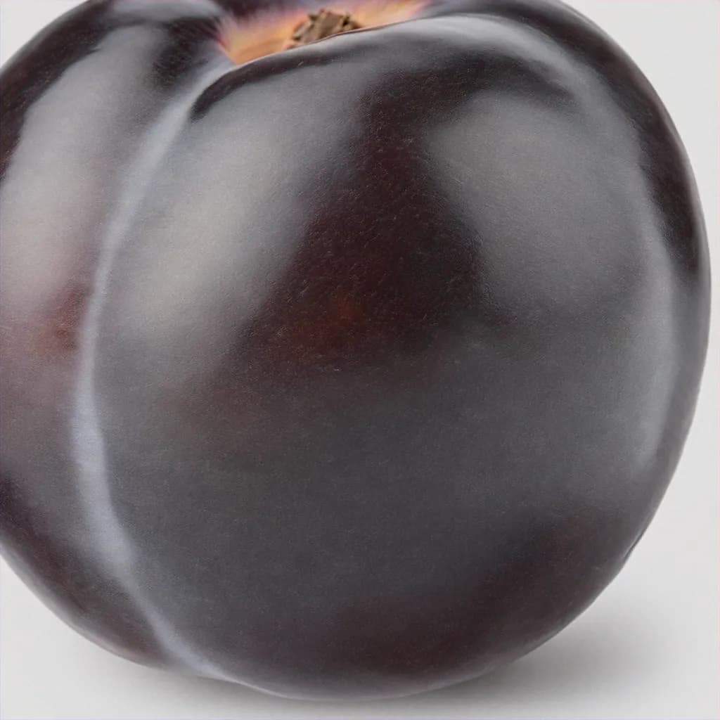 Black Apricot