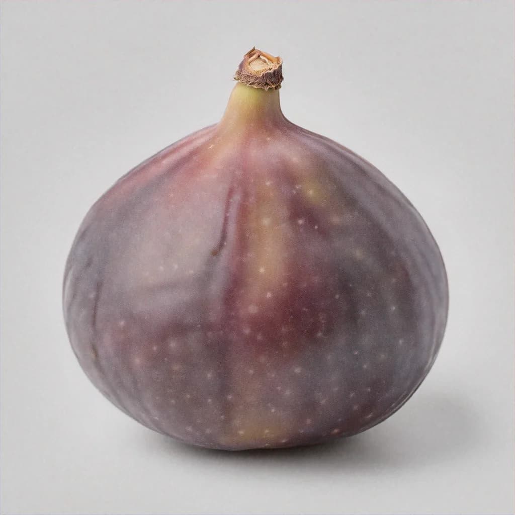 Bush Fig - fresh fruit image for easy identification