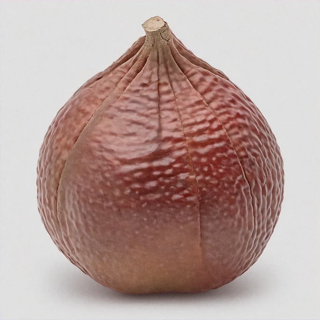 Corky-Bark Fruit - fresh fruit image for easy identification