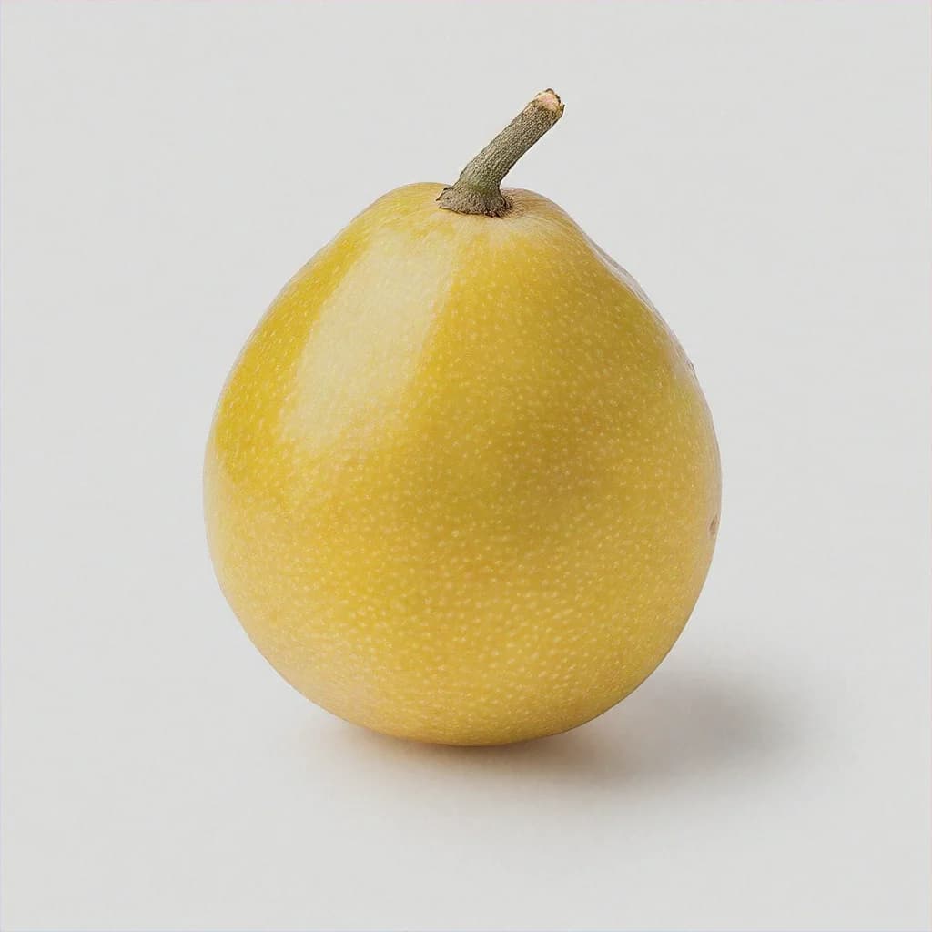 Eugenia Malaccensis - fresh fruit image for easy identification