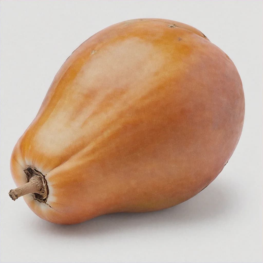 Mamey Sapote - fresh fruit image for easy identification