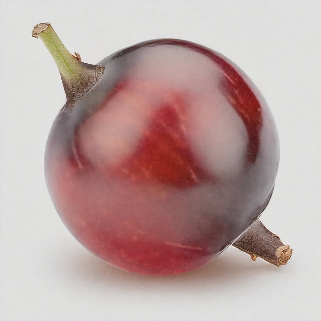Native Currant