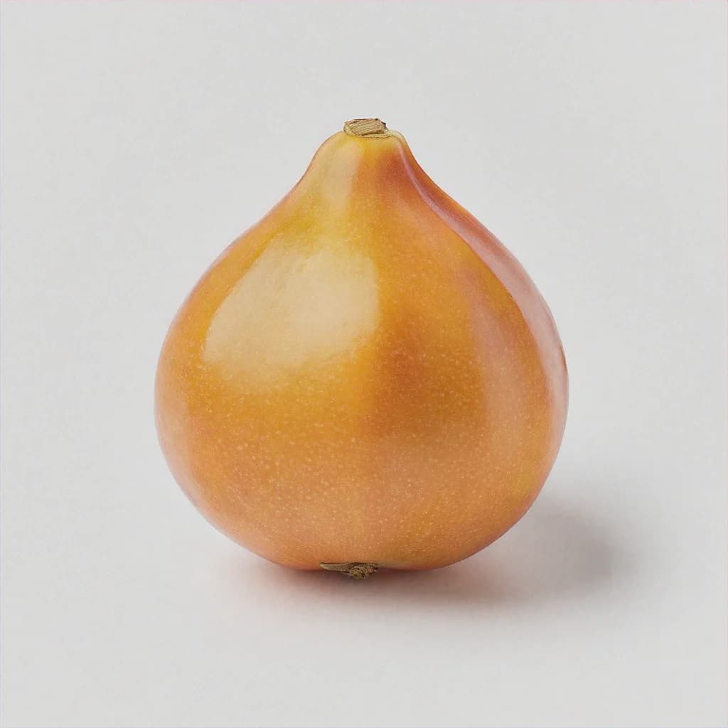 Nyatoh - fresh fruit image for easy identification