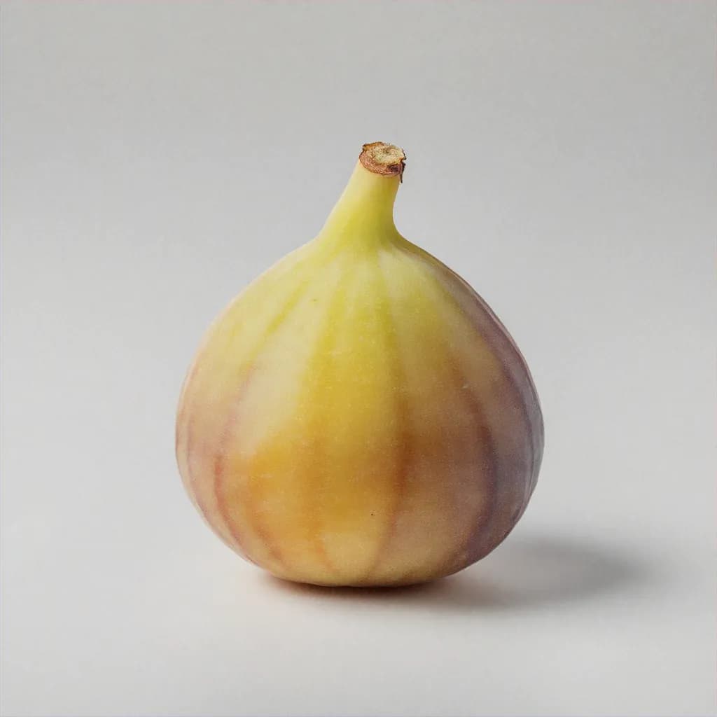 Yellow Fig